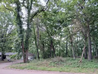 Beautiful .69 Acre Lot in Springfeild thumbnail 6