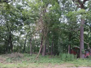 Beautiful .69 Acre Lot in Springfeild thumbnail 5